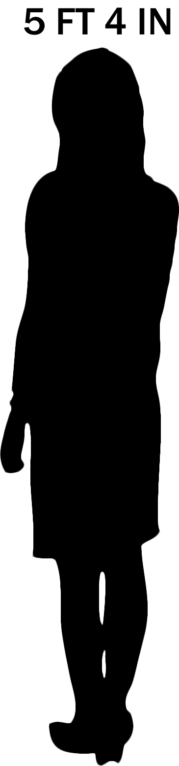 female view in a room figure